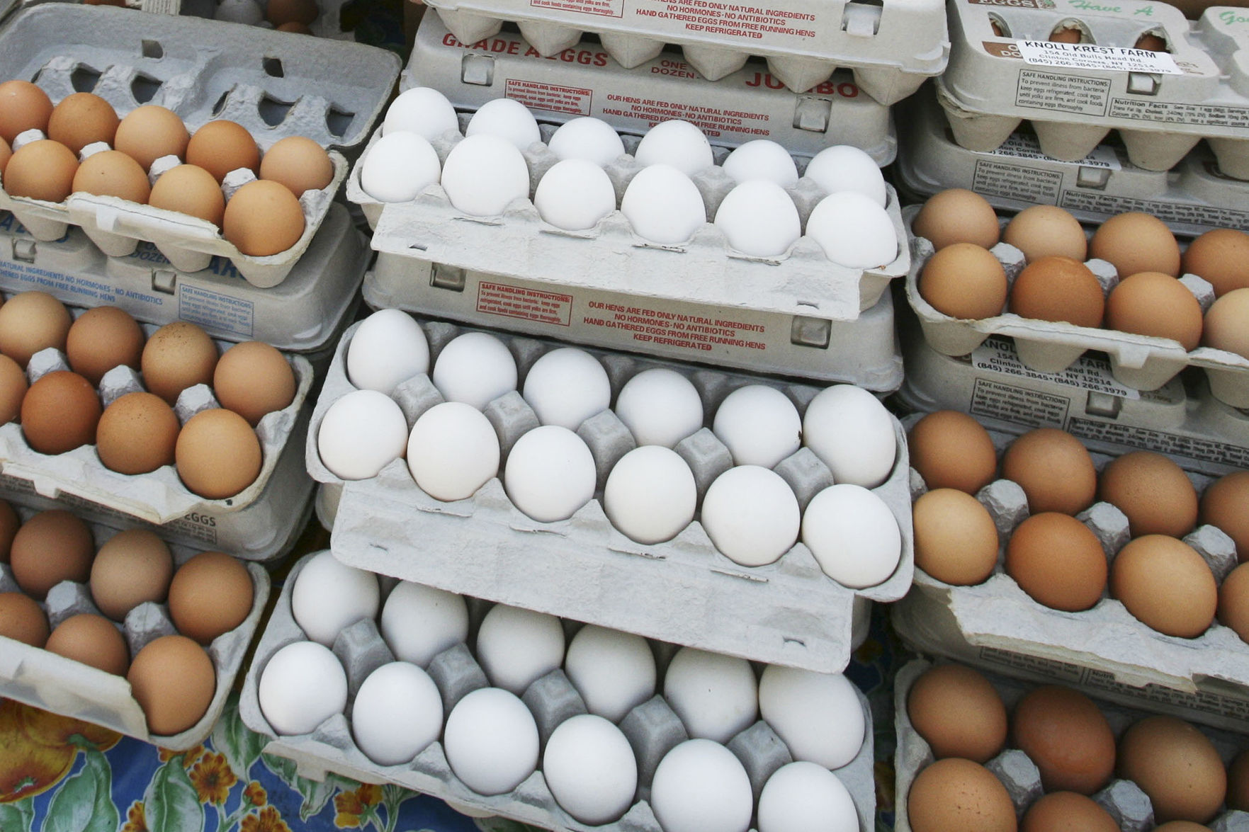 Eggs Health